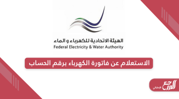رابط الاستعلام عن فاتورة الكهرباء برقم الحساب في الإمارات
